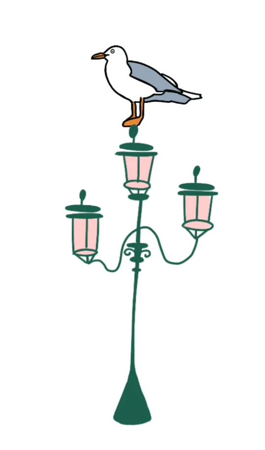 Lampionegabbiano
