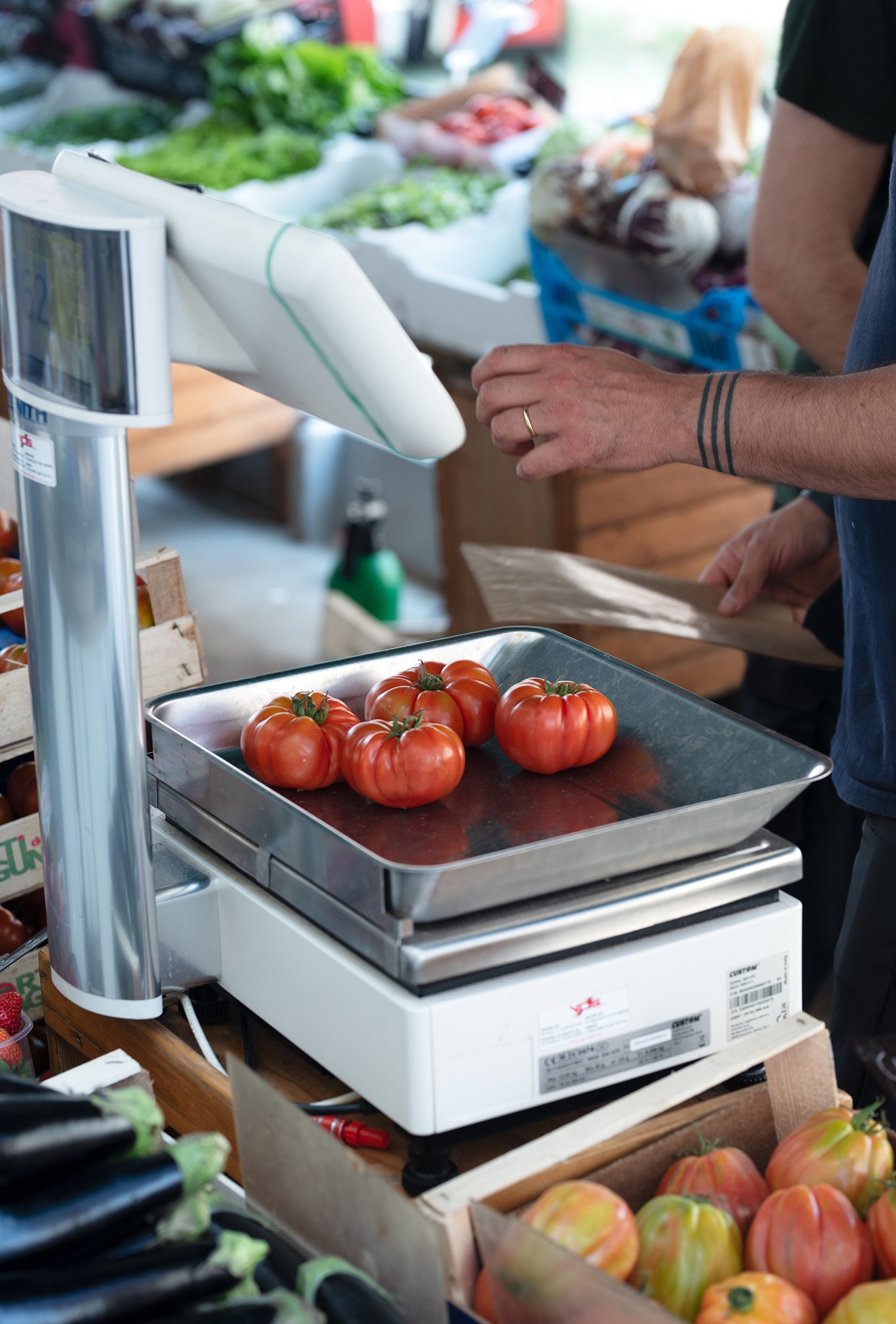 Neighbourhood Venezia 33