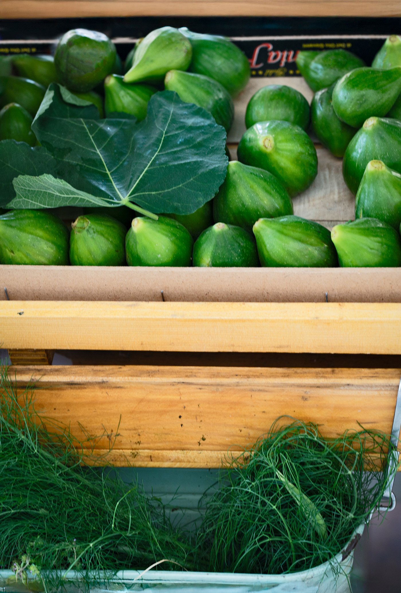 Neighbourhood Venezia 35